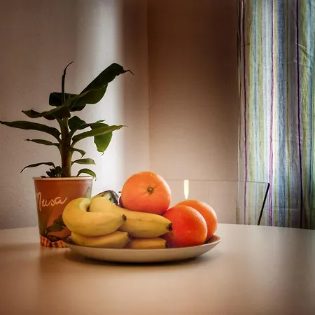 Centro Storico Lovely House R9345 Apartment